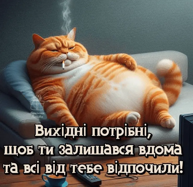 1725811926250.webp