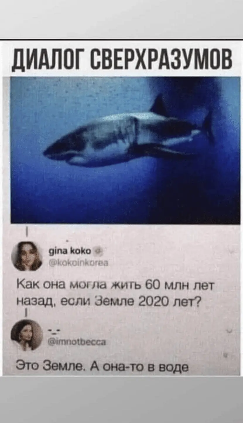 1725863307603.webp