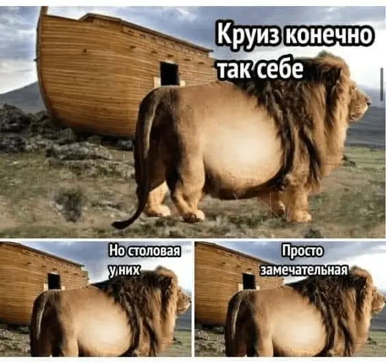 1725865865951.webp