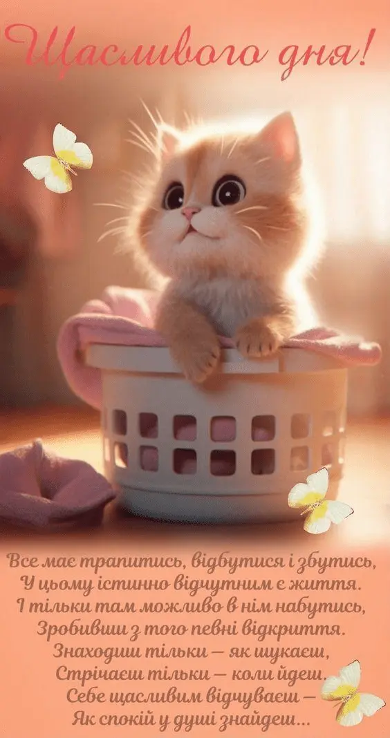 1725868284342.webp