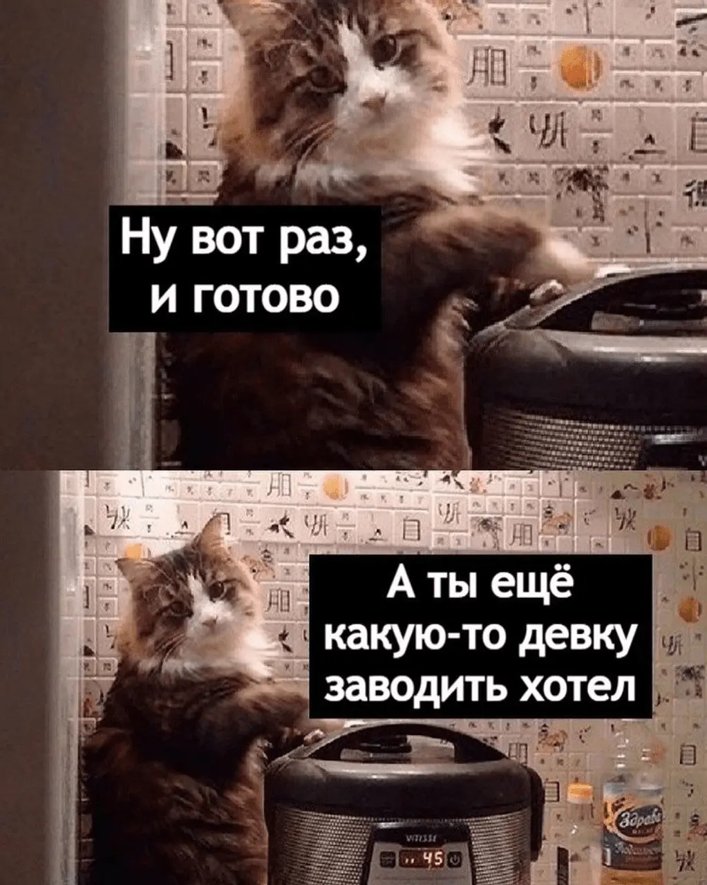 1725909592868.webp