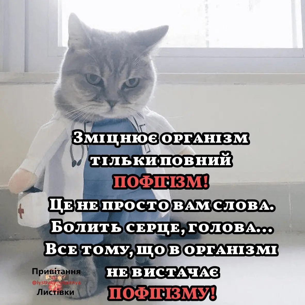1725995085225.webp