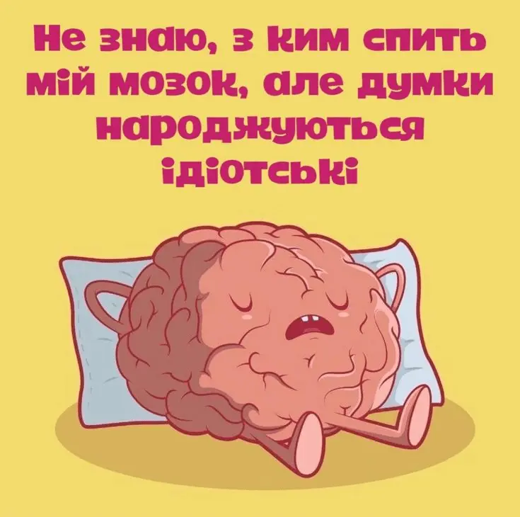 1726000316137.webp