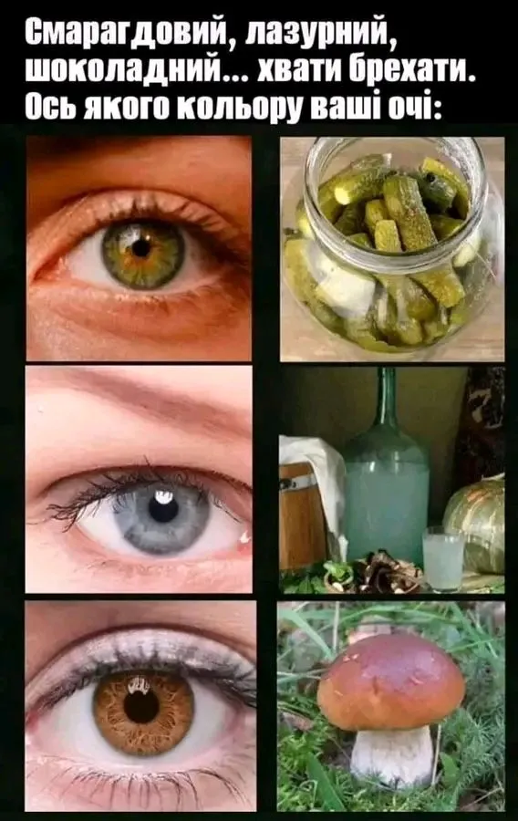 1726035469338.webp