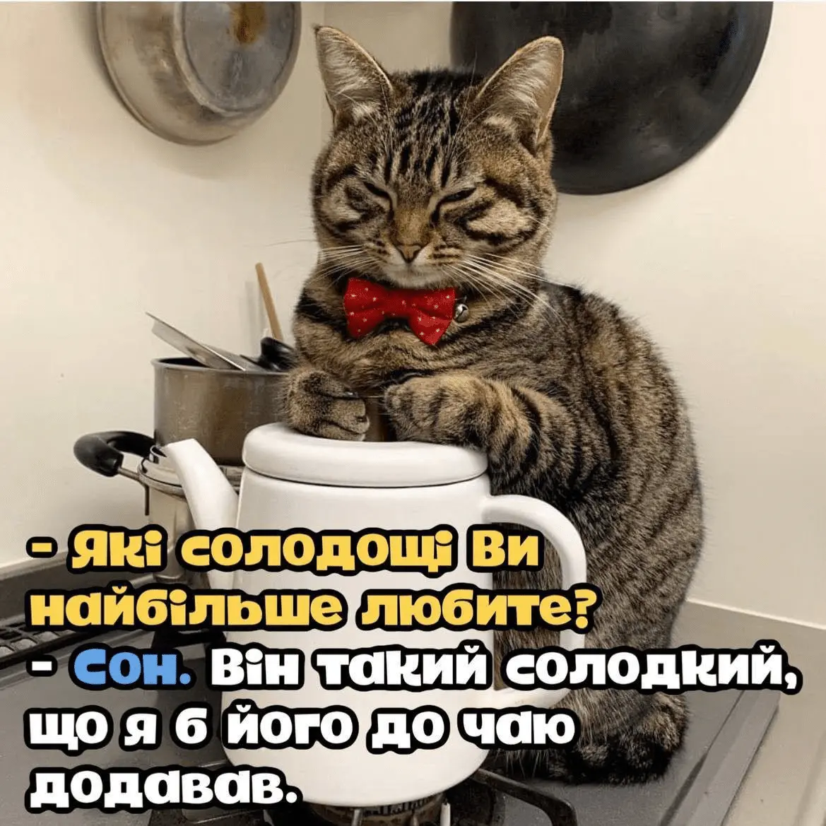 1726337421140.webp