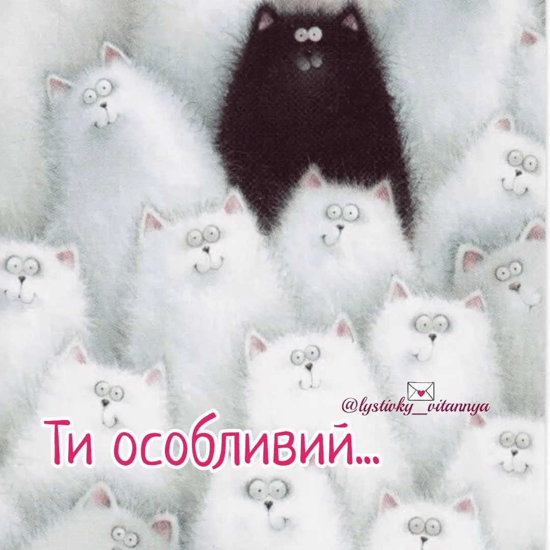 1726384226884.webp