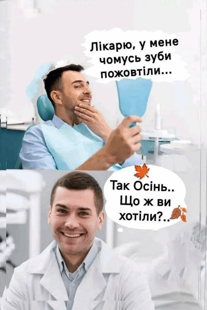 1726393763937.webp