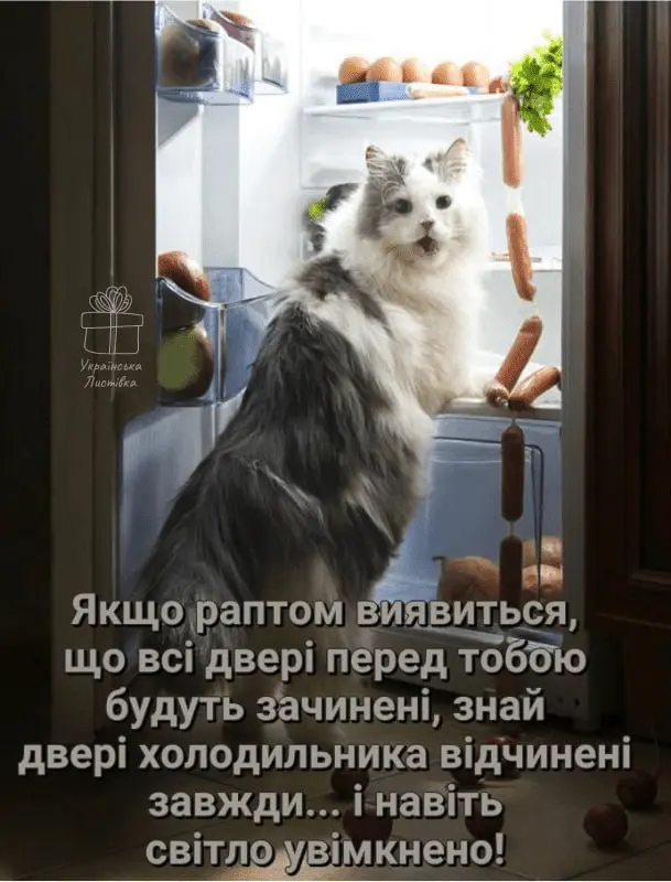1726417838868.webp
