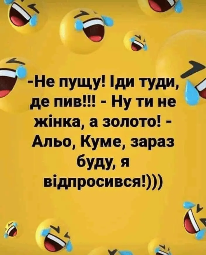 1726424228978.webp