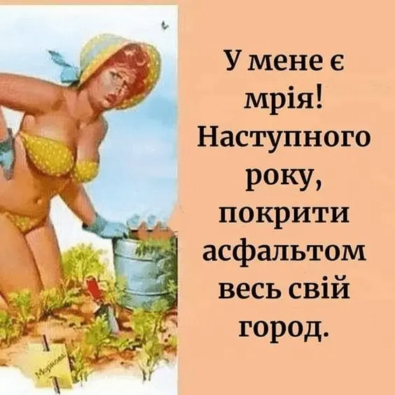 1726590486427.webp