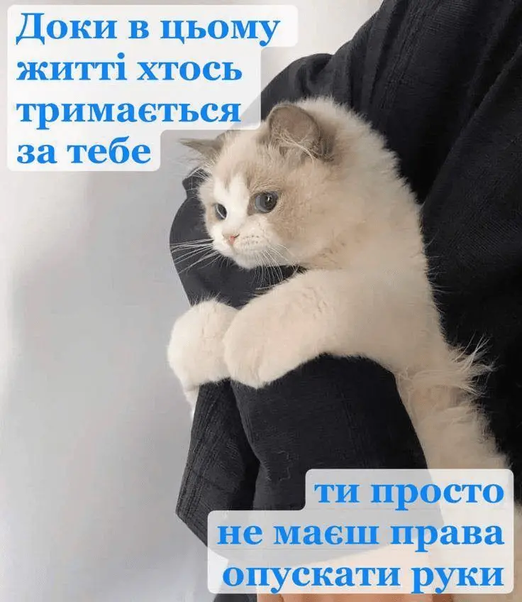 1726686099608.webp