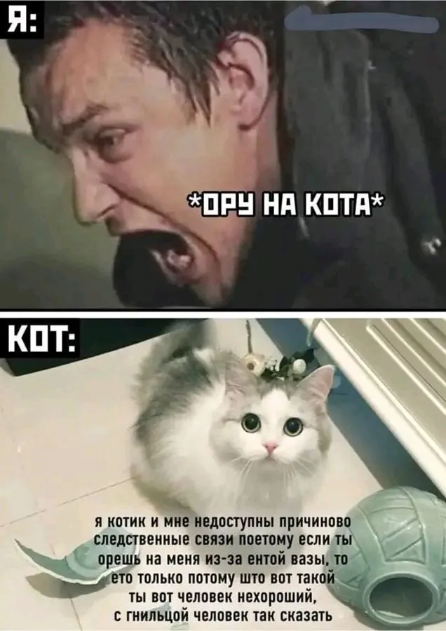 1726725348867.webp