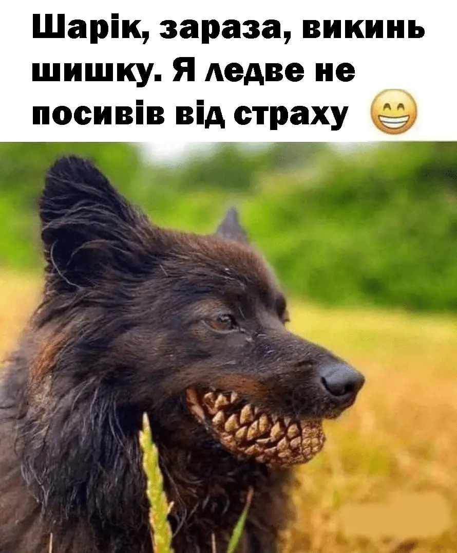 1726764967106.webp