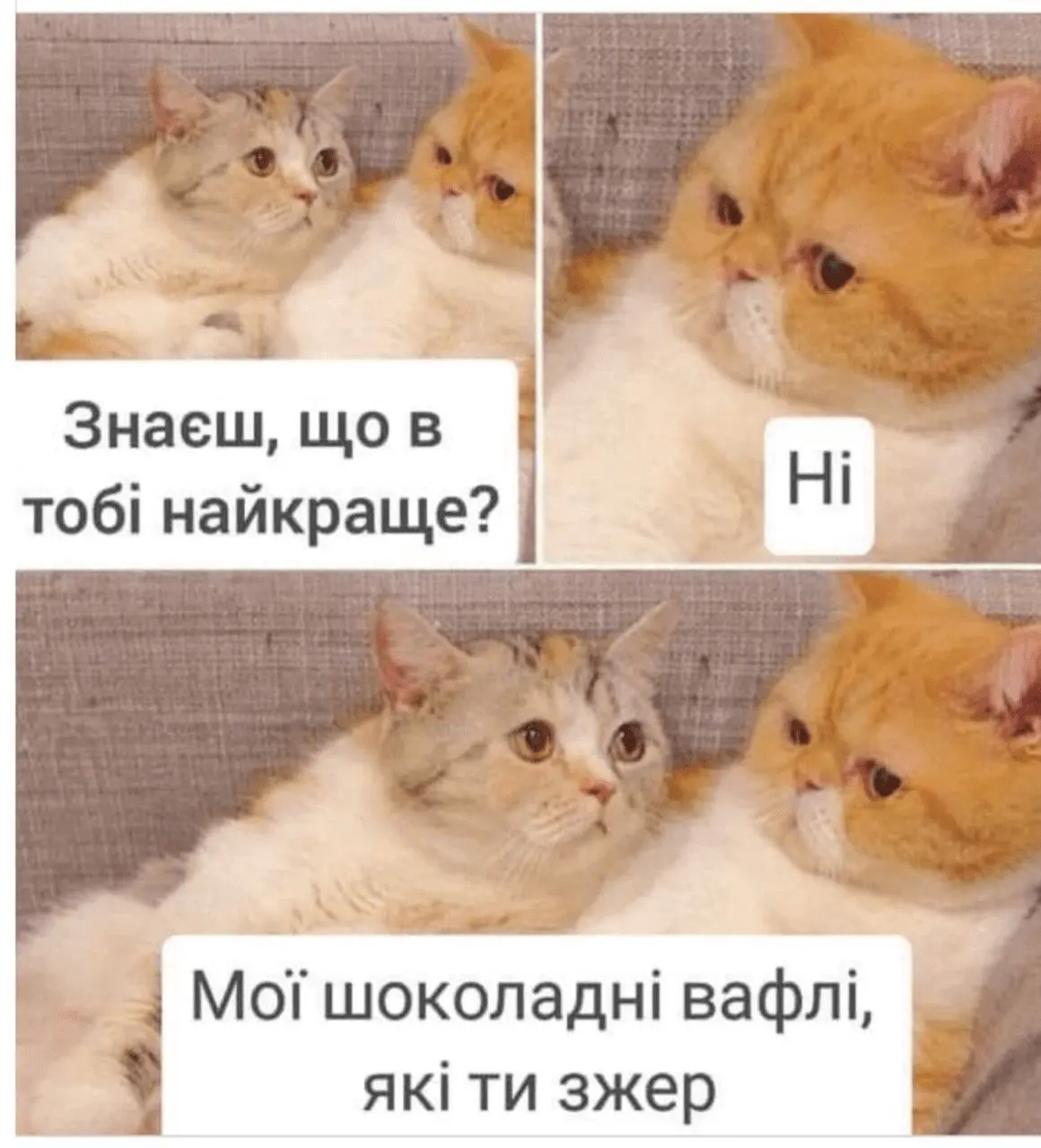 1726765637993.webp
