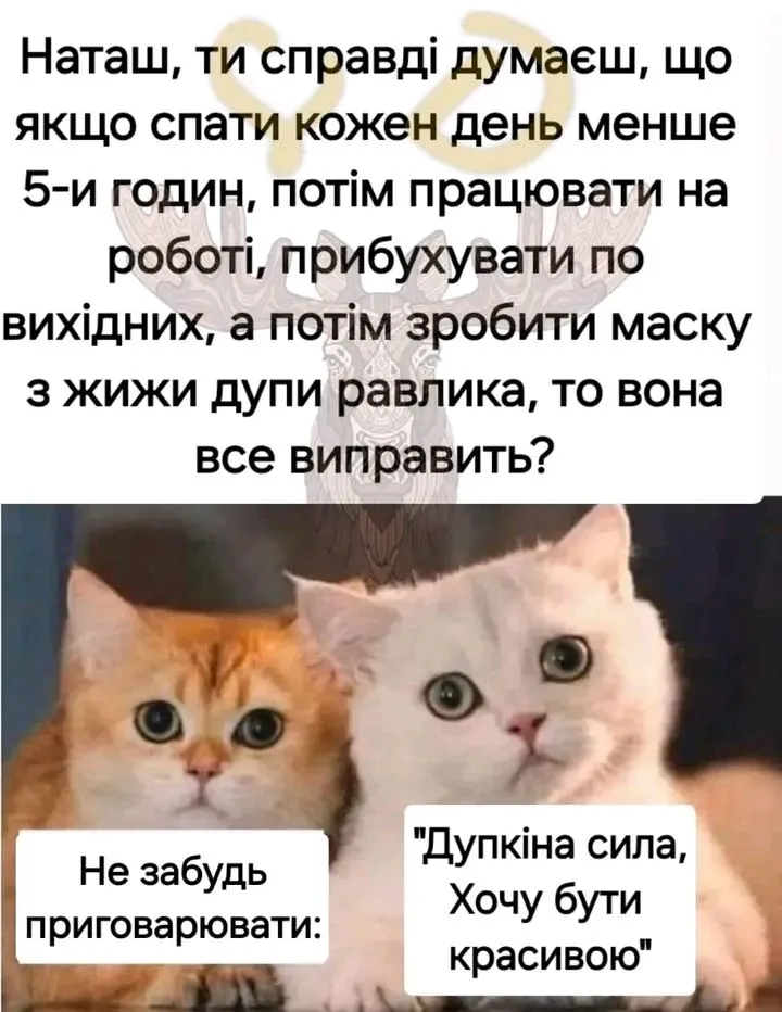 1726908150510.webp