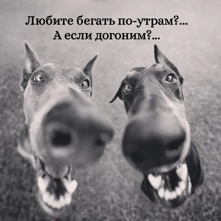17d7113d6979eda85cba2c240e13c5b8-world64.spcs.bio.webp