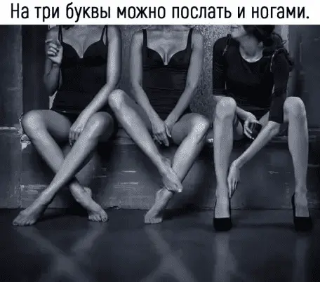 18443657.webp