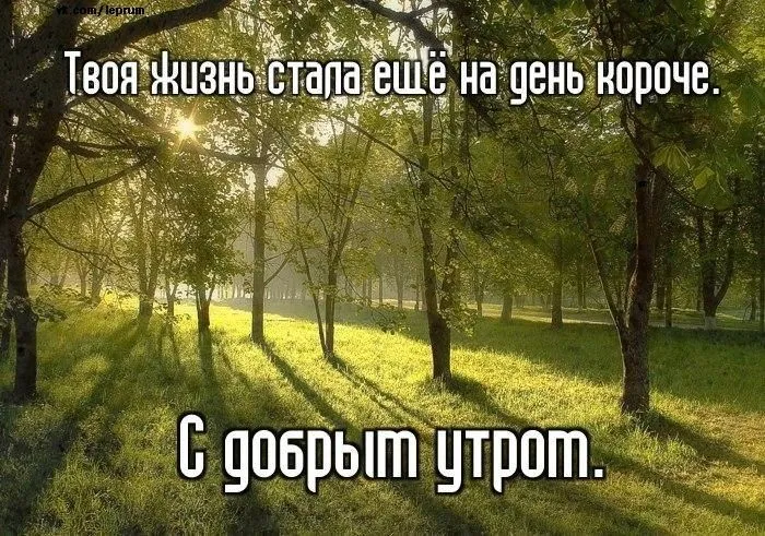 1851049.webp