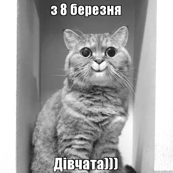 1aa213f6526287ba53c1ce1de083e309.webp