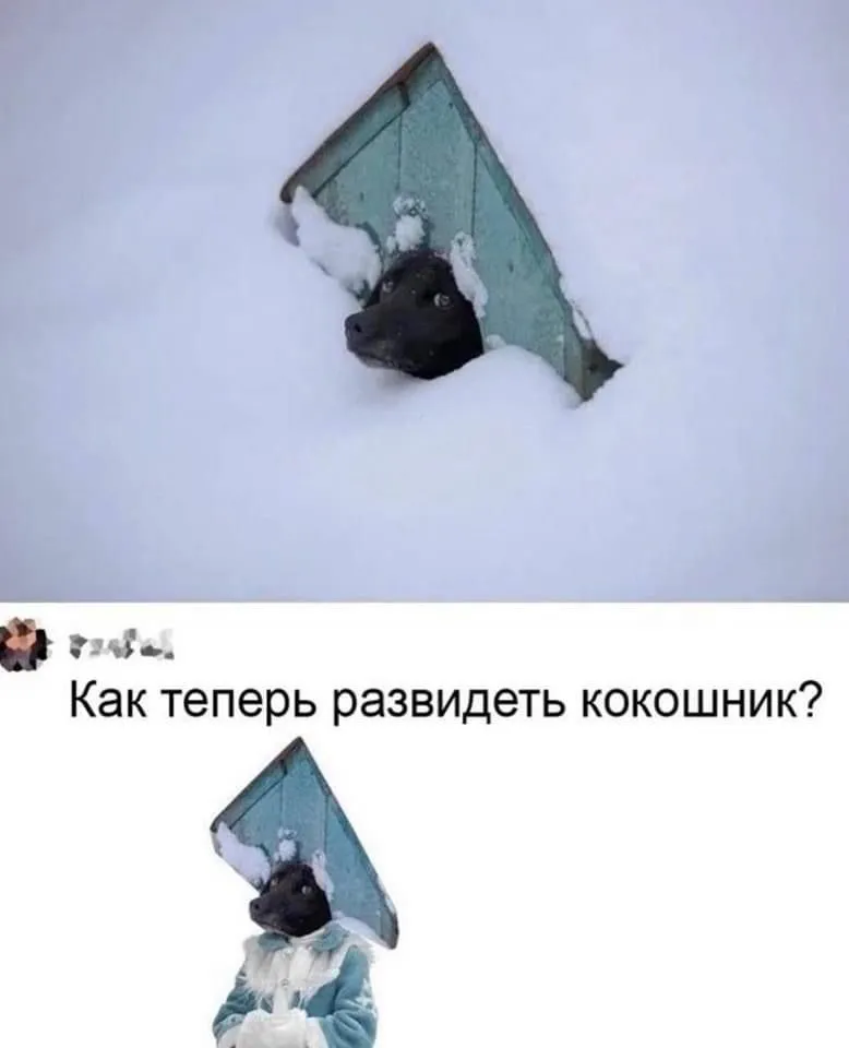 1FEC3B2A-8367-4889-A148-DB28D6F6CD95.webp