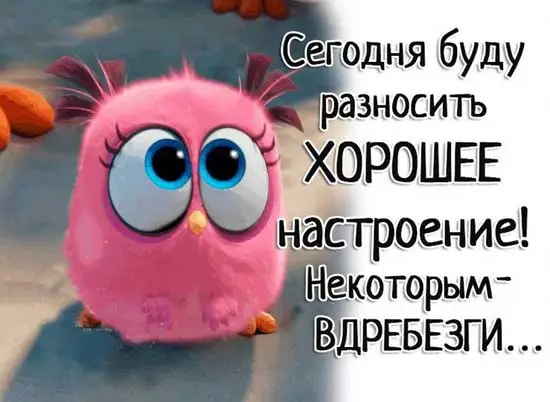 2-23.webp
