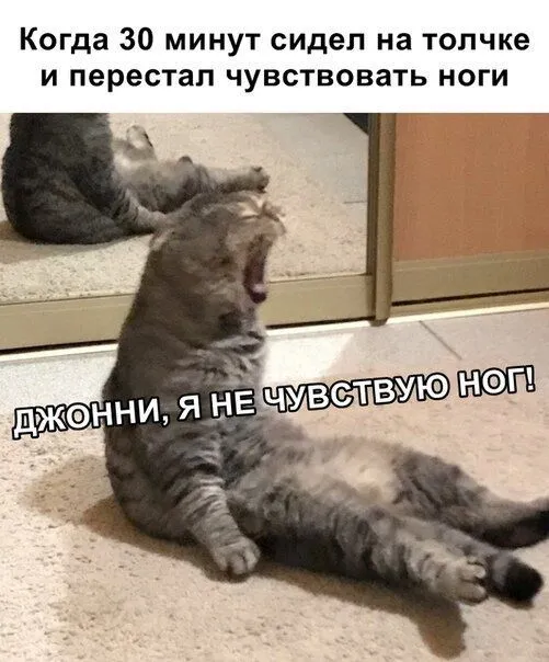 2-37.webp