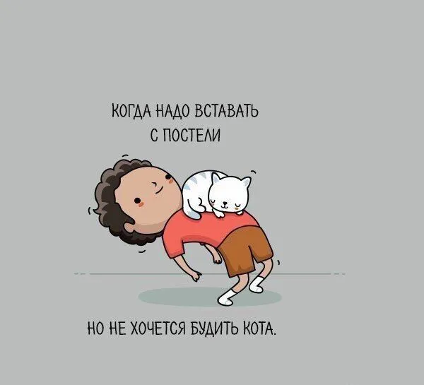 201512020009-kogda-nado-vstavat-s-posteli-no-ne-hochetsya-budit-kota-kashamalasha-com.webp
