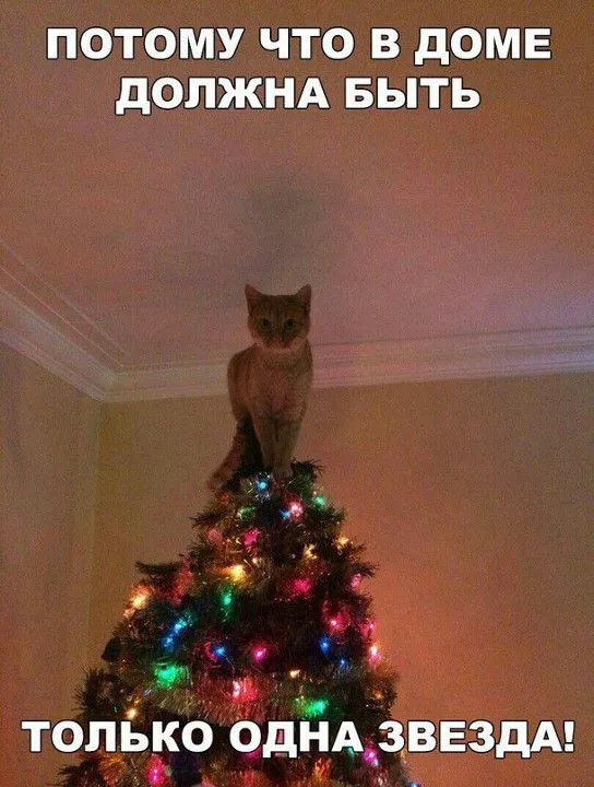 2018-12-11-1544546648.webp