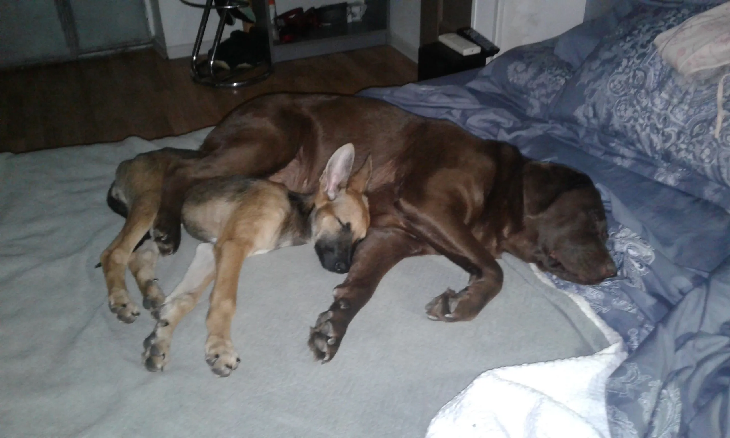 20180608_011451.jpg