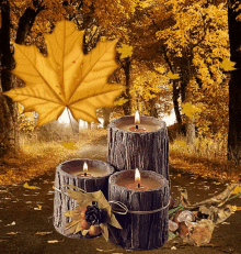 20210920_065140.gif