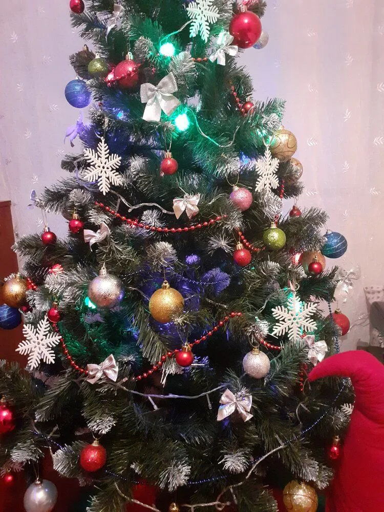 20211217_195606.webp