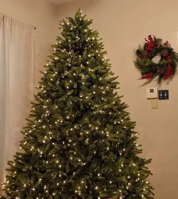 20211231140329-6727.webp