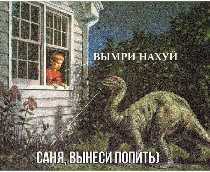 20258070_1411931592222755_5938032363069319292_n (1).webp