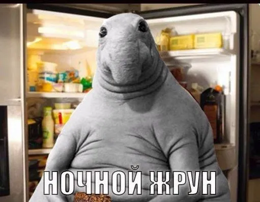 2031dccf8153965319538dd1d4d7601d_0x0w.webp