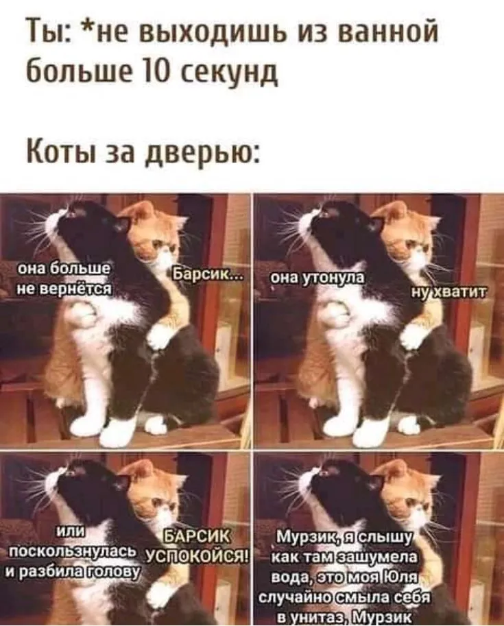2149b6f3092b09ca961a0a536f088022.webp