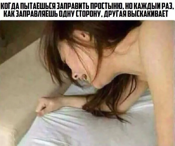 21b3bad9-c8d8-470f-8762-dd2ae1eae6dc.webp