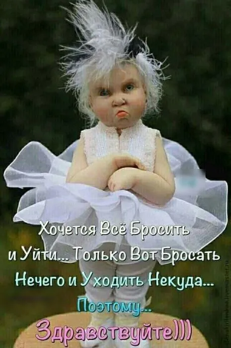 21bc69b61060bfb3df0b6117242a1952.webp