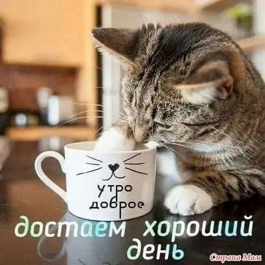 22869527b2b897d694725fbd6d2bb5b2.webp