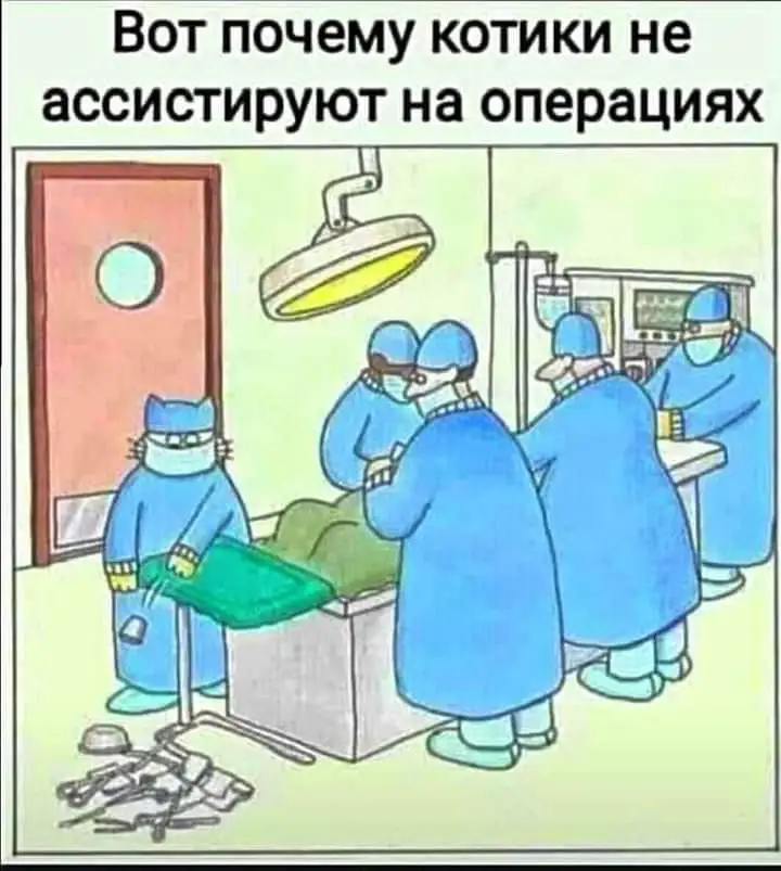 244967972_4852530704797236_3457836517492349673_n.webp