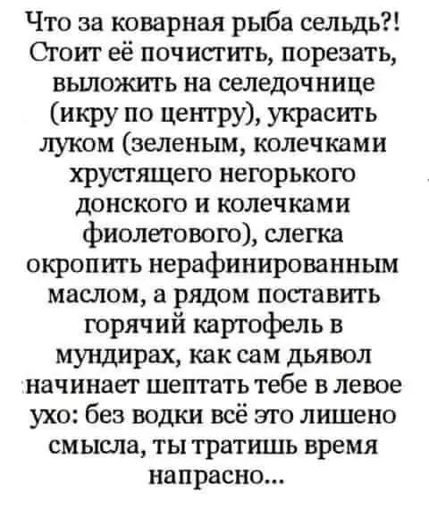245493451_1826751027508081_4712128171993661897_n.webp
