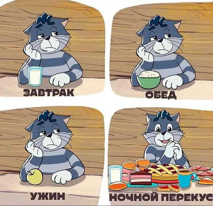 246881219_392417119032045_892202087096320517_n.webp