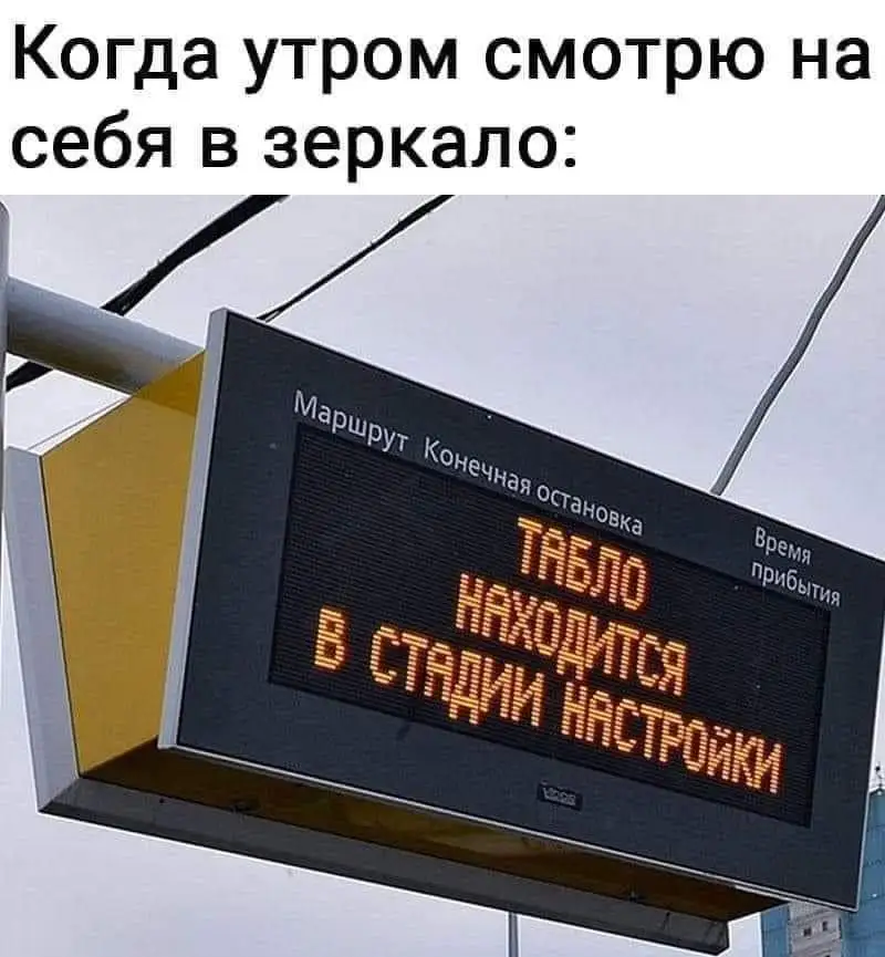 249152110_4575890235828362_6977013622769045889_n.webp