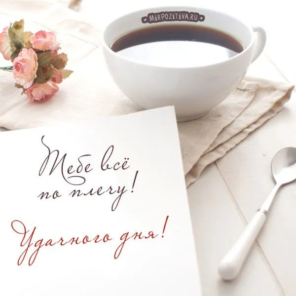 25118706-600x600.webp