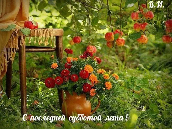 2561508871.webp