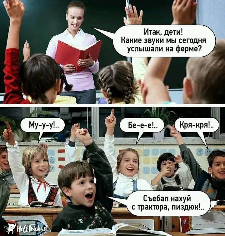 2653E896-D36B-44FF-A552-340FF58DB5E8.webp
