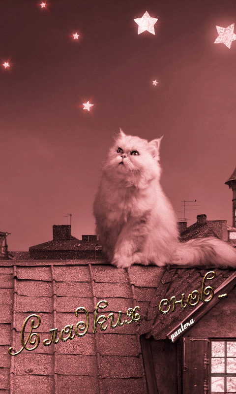 265876981.gif