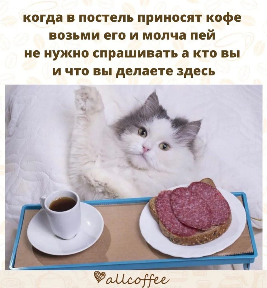 272693357_3073356002920288_6766473364025269762_n.webp