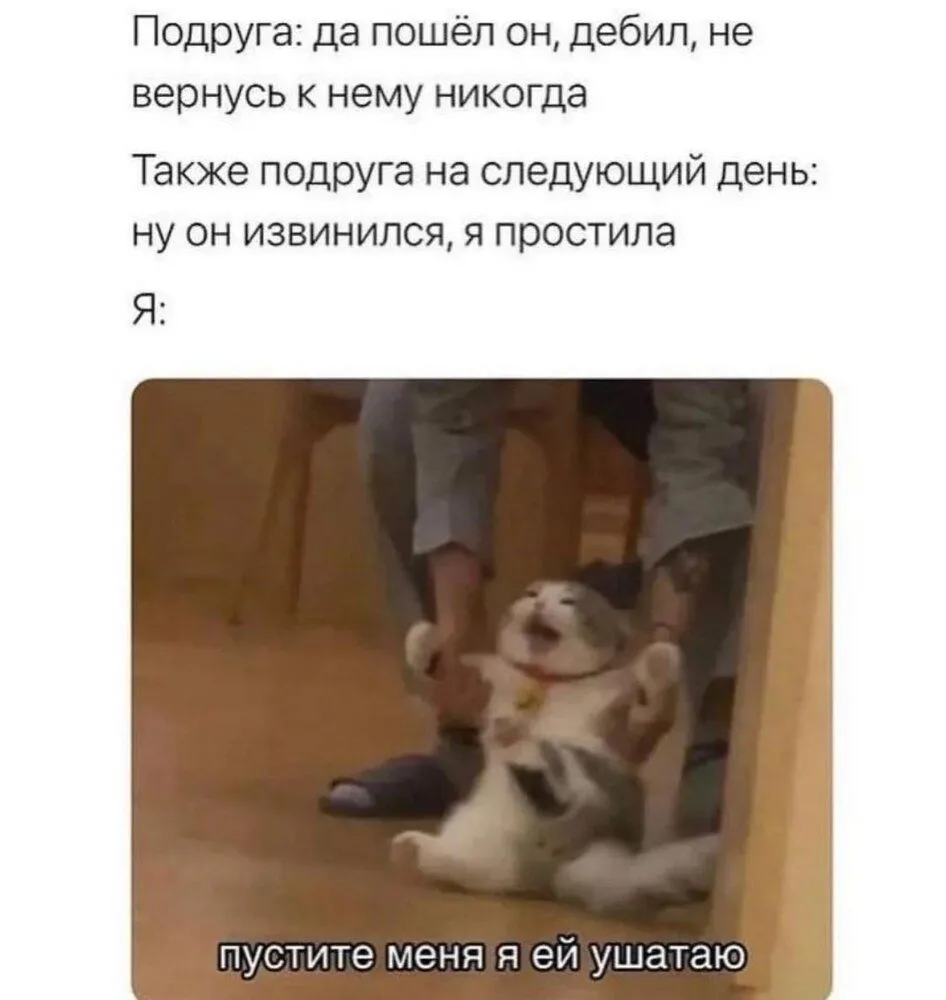 273982761_5180813785284881_3975911034143482220_n.webp
