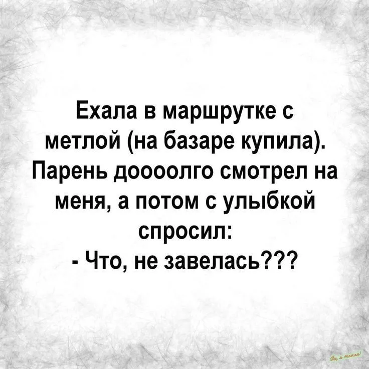 2818f9221d60a82684038a590b67fb48.webp