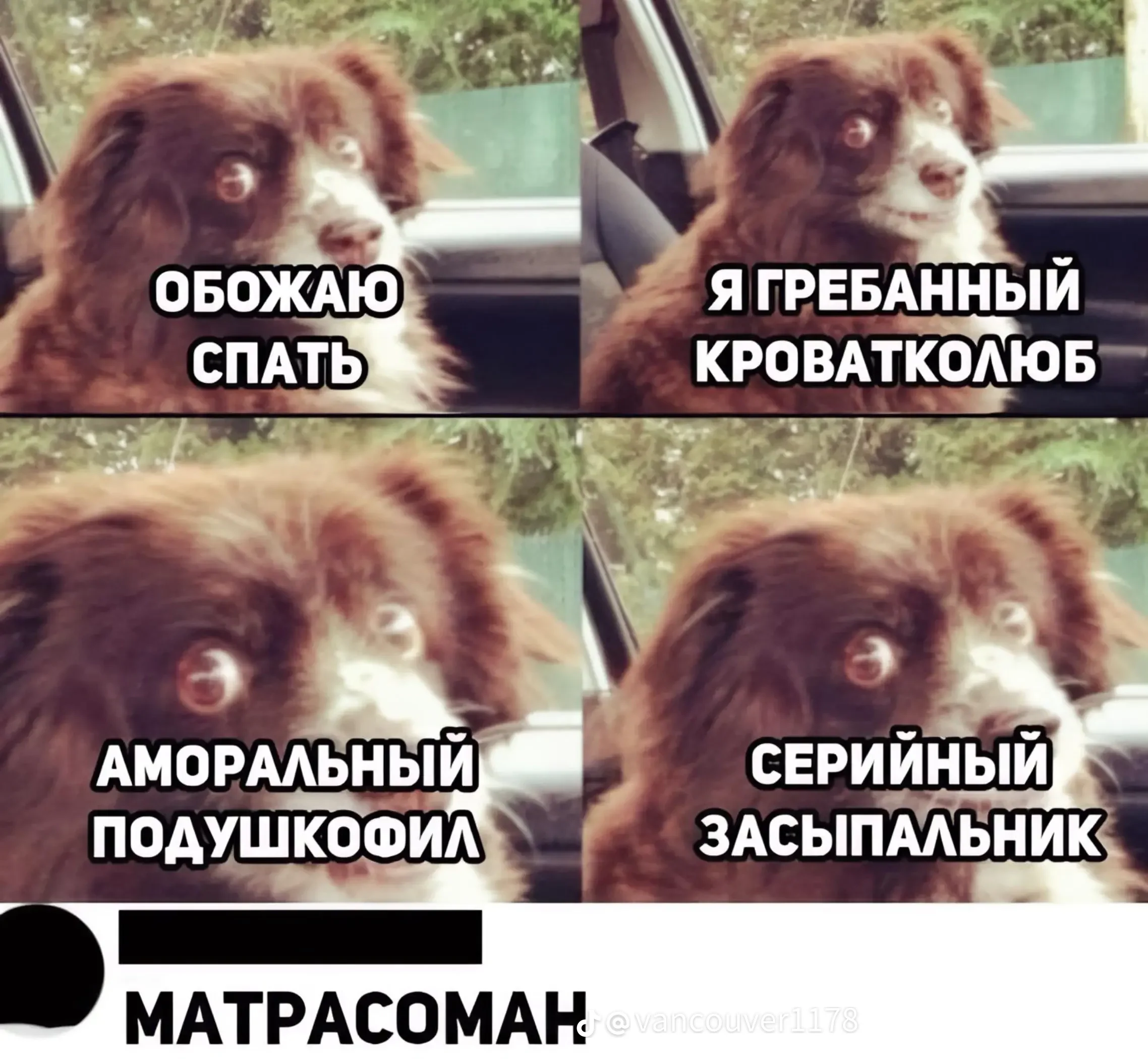 29ac10821b5199dea3efb1c6e16476d3.webp